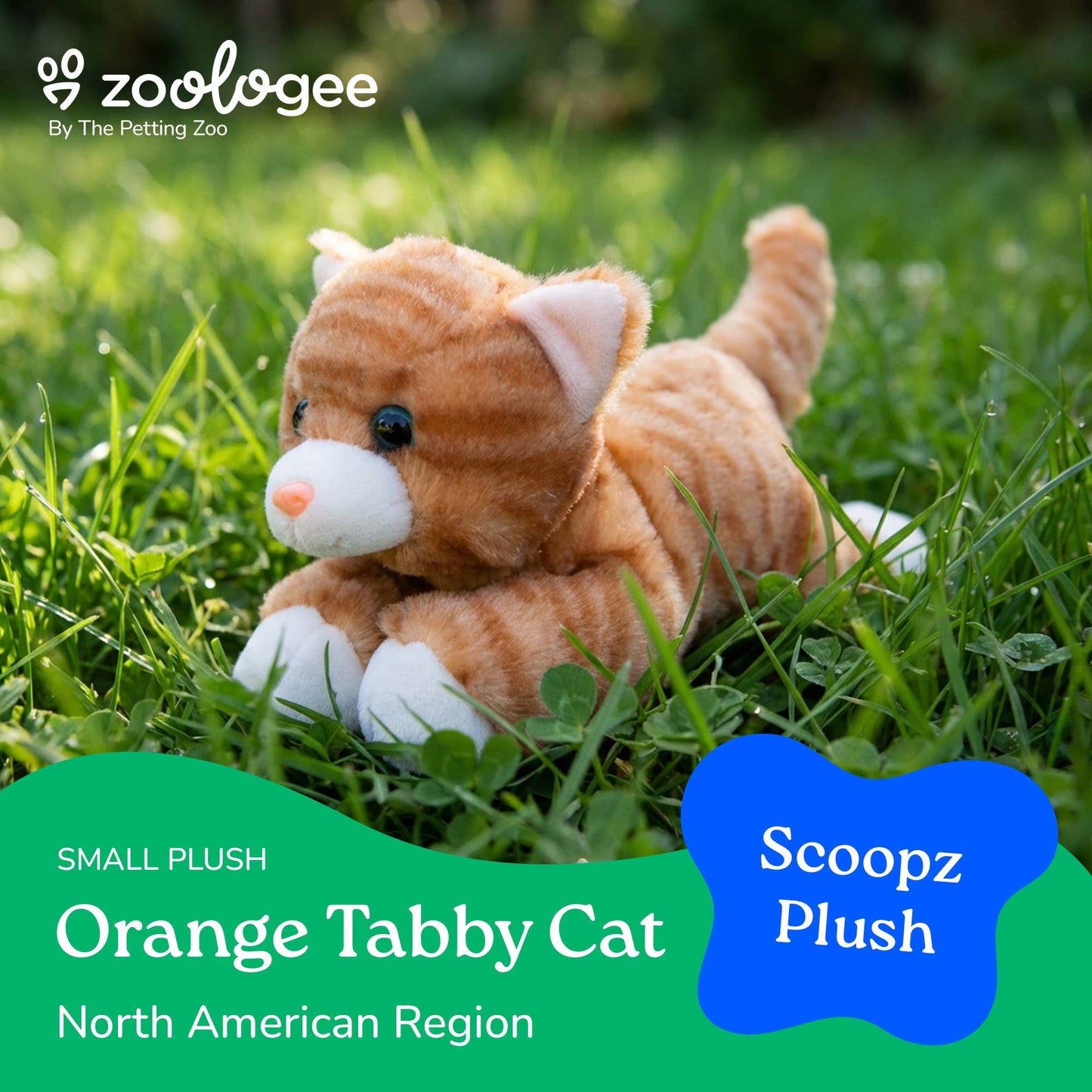 Orange Tabby Cat Scoopz 8"