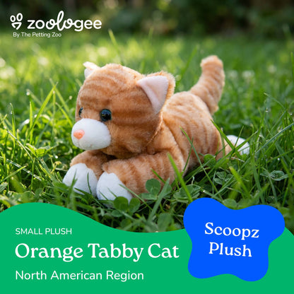 Orange Tabby Cat Scoopz 8"