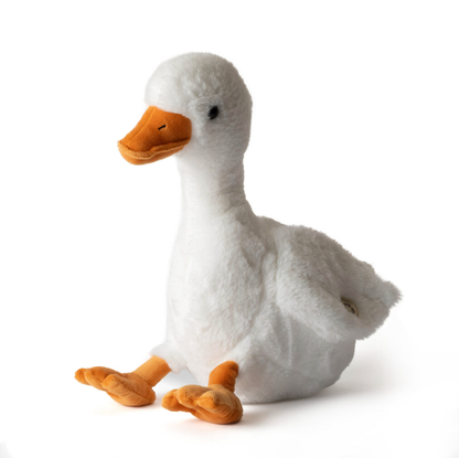 Duck 12" Wild Onez