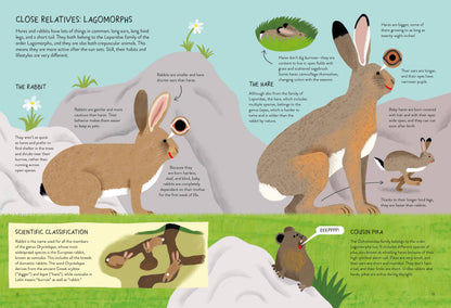 Rabbitology
