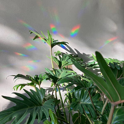 You are loved Suncatcher