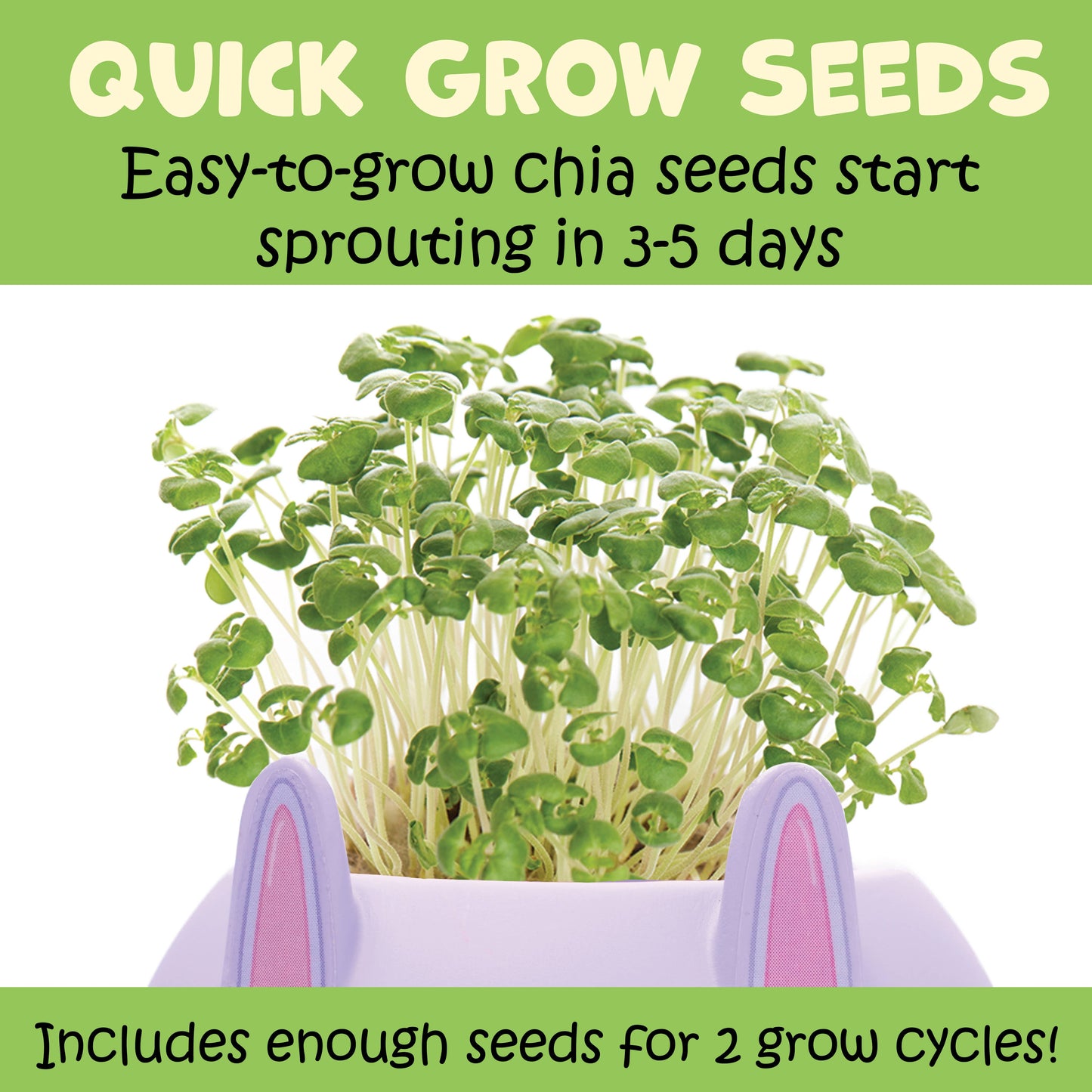 Plant a Pet Mini Grow Craft Kit for Kids