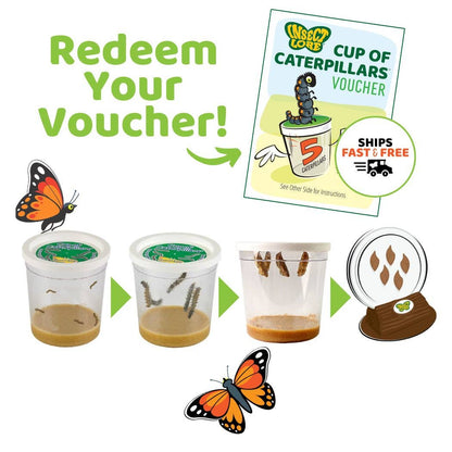 Butterfly Garden Life Cycle Kit