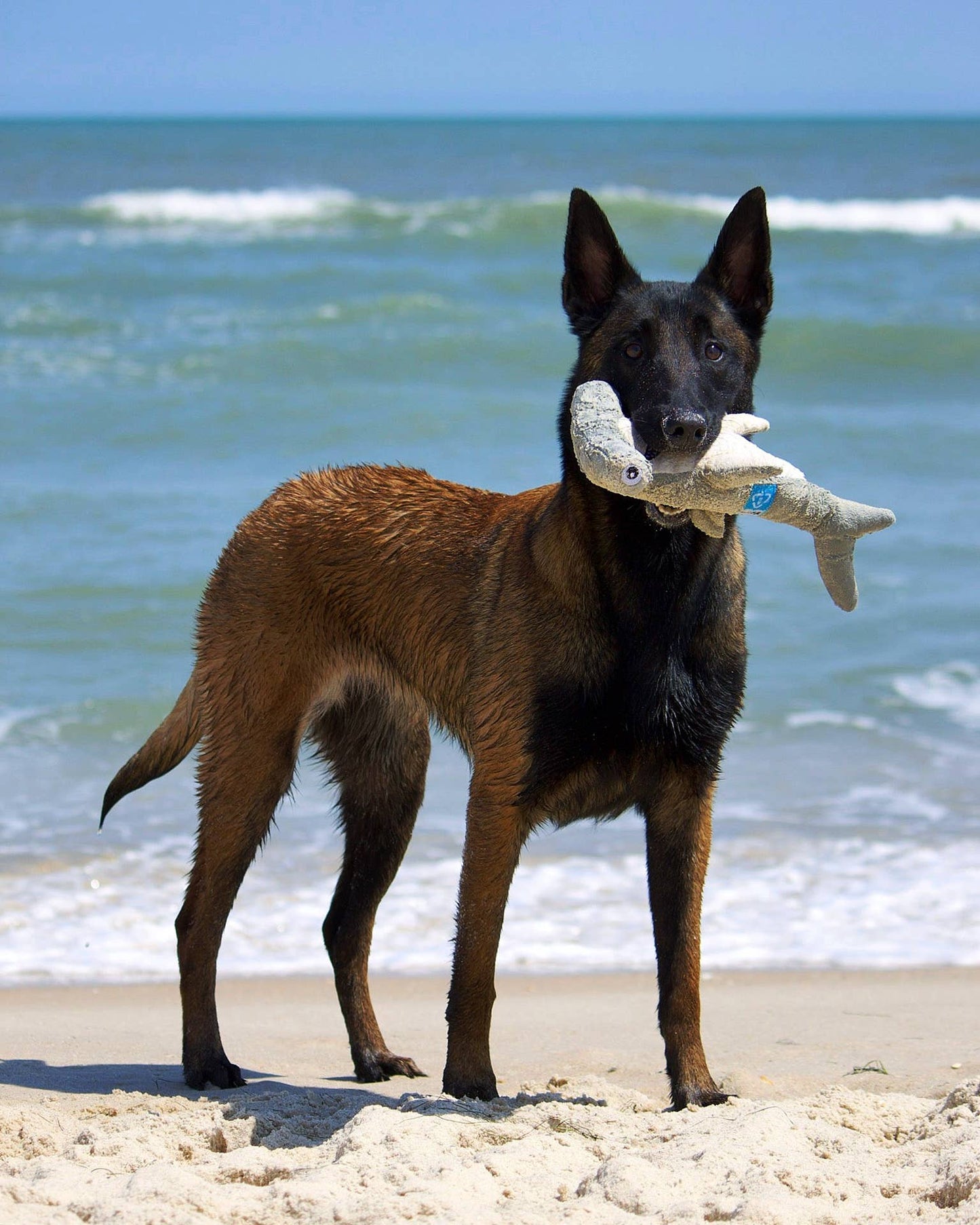 DOG Plush Toys - 100% Sustainable