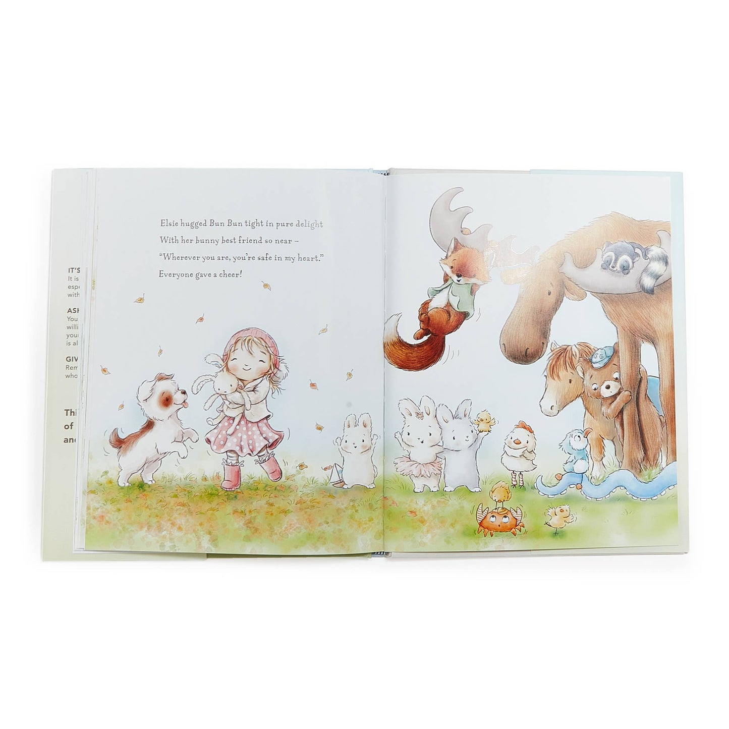Bun Bun A Lovey Story Book