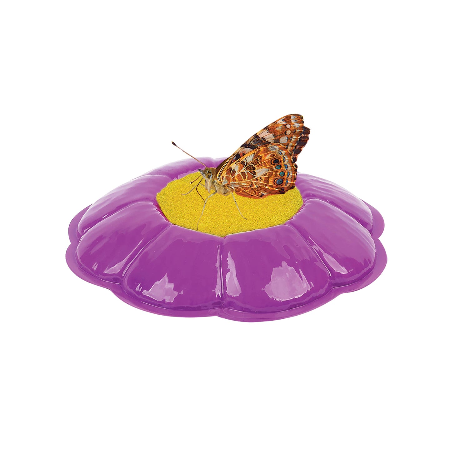 Butterfly Garden Life Cycle Kit