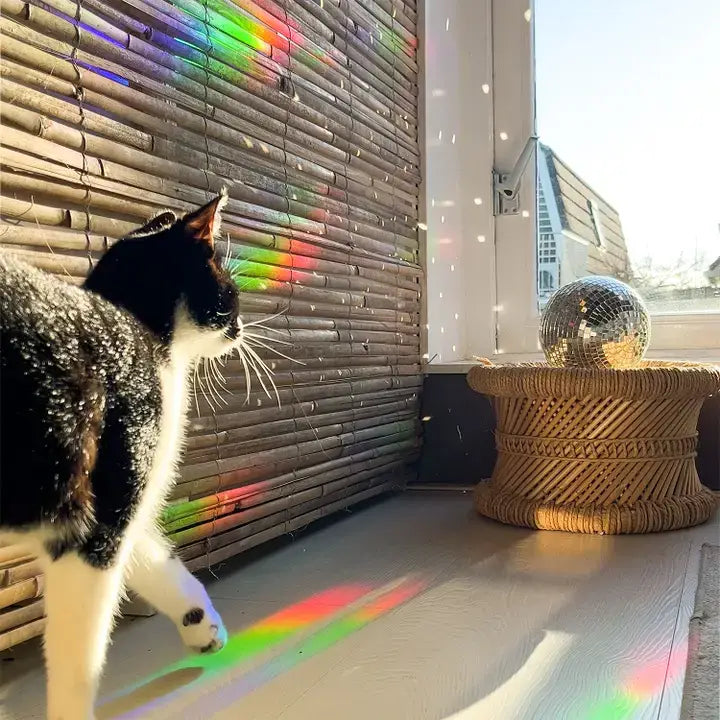 Slow down Suncatcher