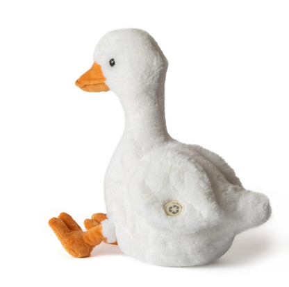 Duck 12" Wild Onez