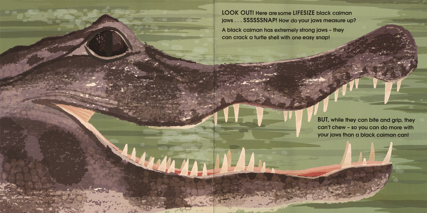 Lifesize Deadly Animals