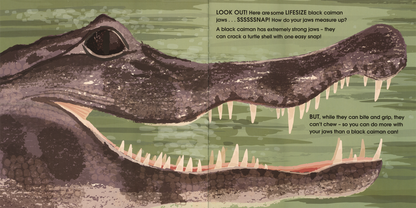 Lifesize Deadly Animals