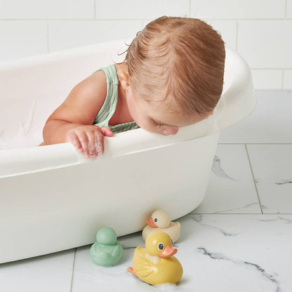 Mallard Itzy Ducky Family