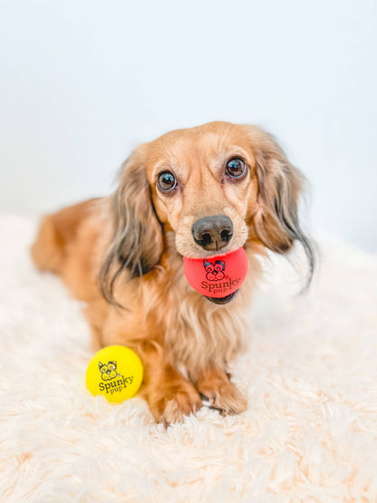 Fetch & Glow Ball