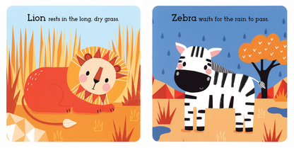 Animals of the Savanna