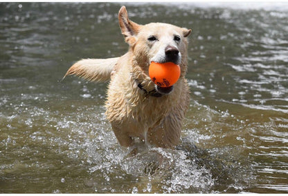 Fetch & Glow Ball
