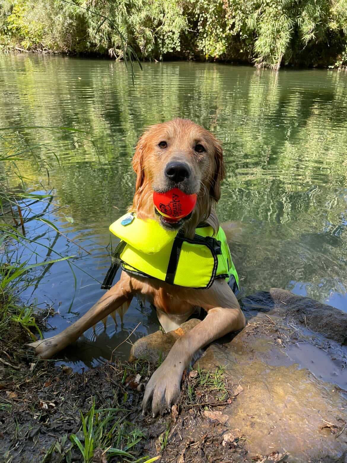Fetch & Glow Ball