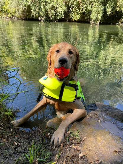 Fetch & Glow Ball