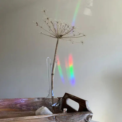 Slow down Suncatcher