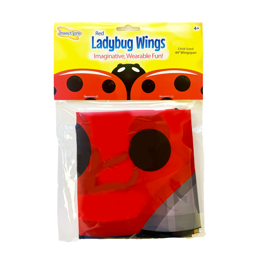 Red Ladybug Wings