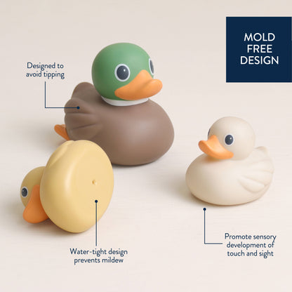 Mallard Itzy Ducky Family