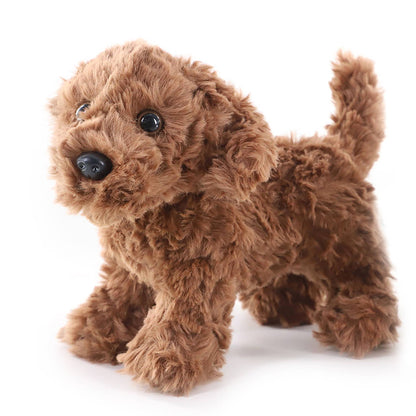 Chocolate Labradoodle Dog