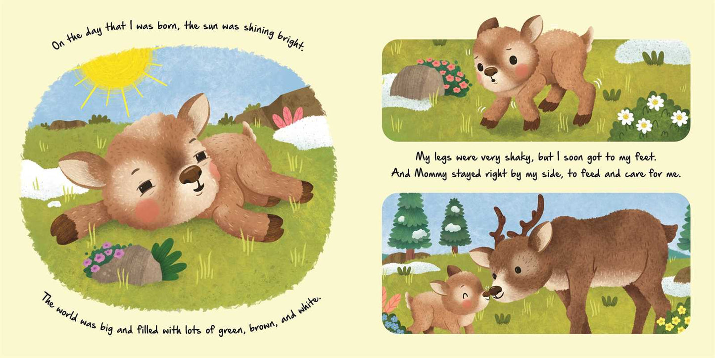 Little Reindeer Nature Stories