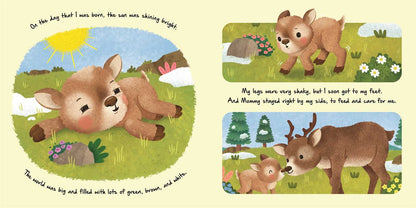 Little Reindeer Nature Stories