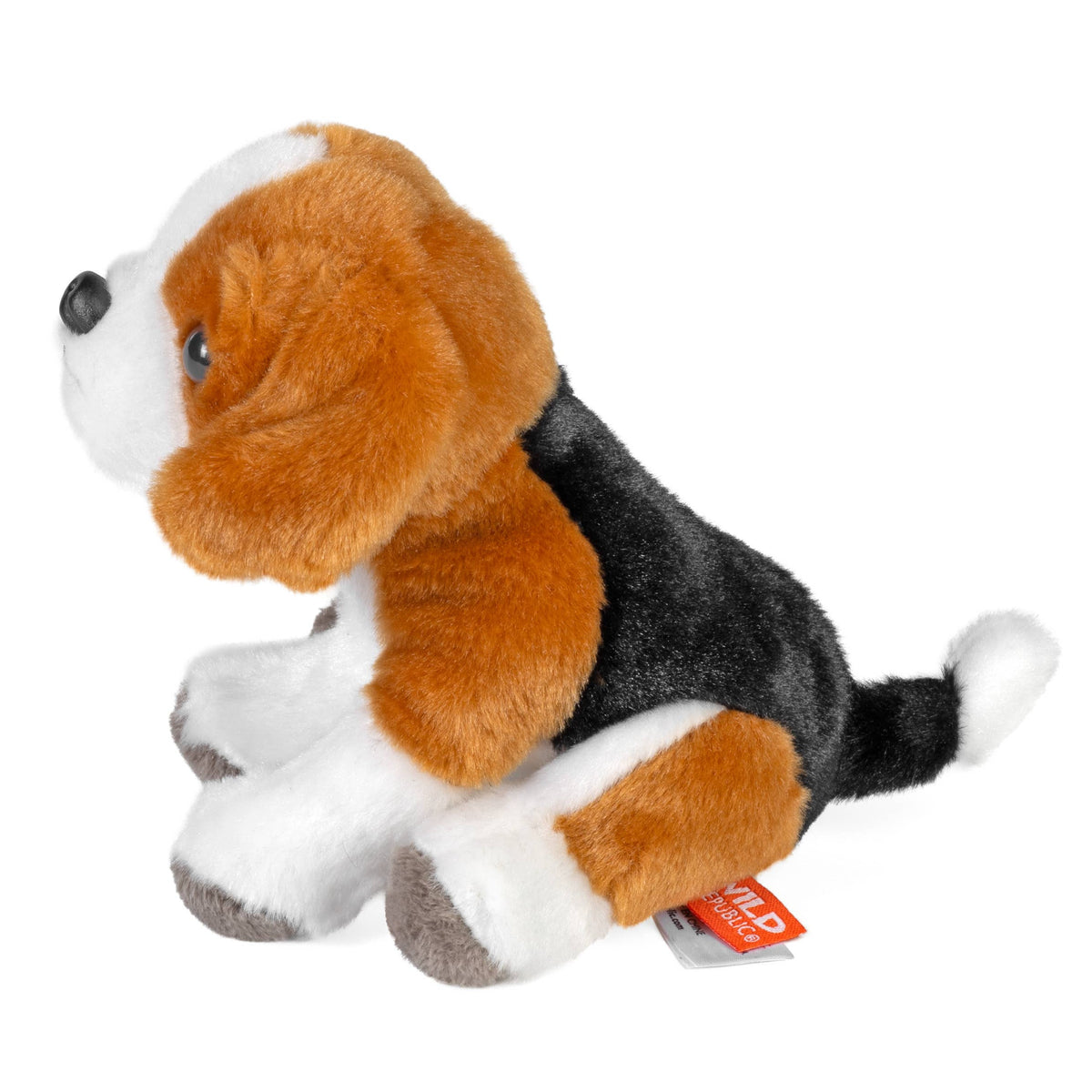 Beagle Pocketkins