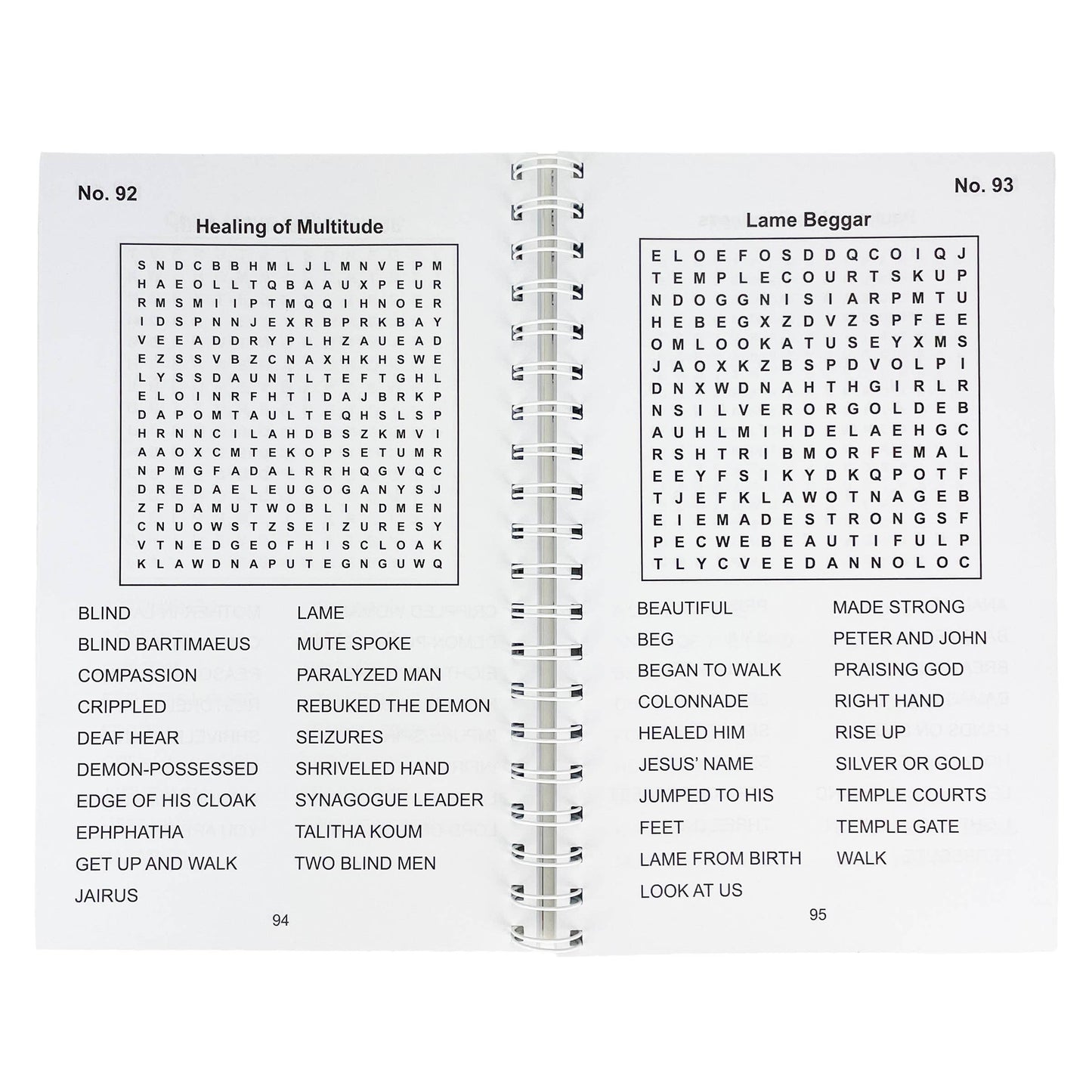 Bible Large Print Word Search Puzzle Book