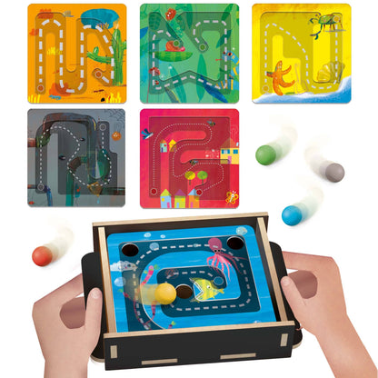 Tricks & Traps Labyrinth