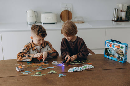 Dinosaurs under X-Ray