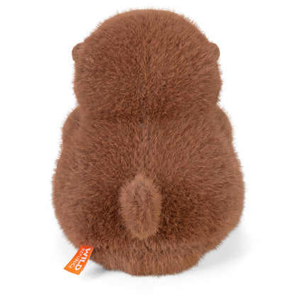 Otter Tummykins