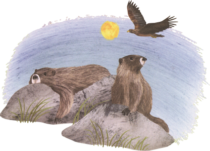 America's Wildlife