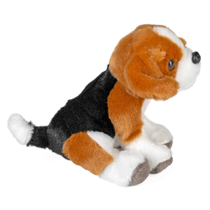 Beagle Pocketkins