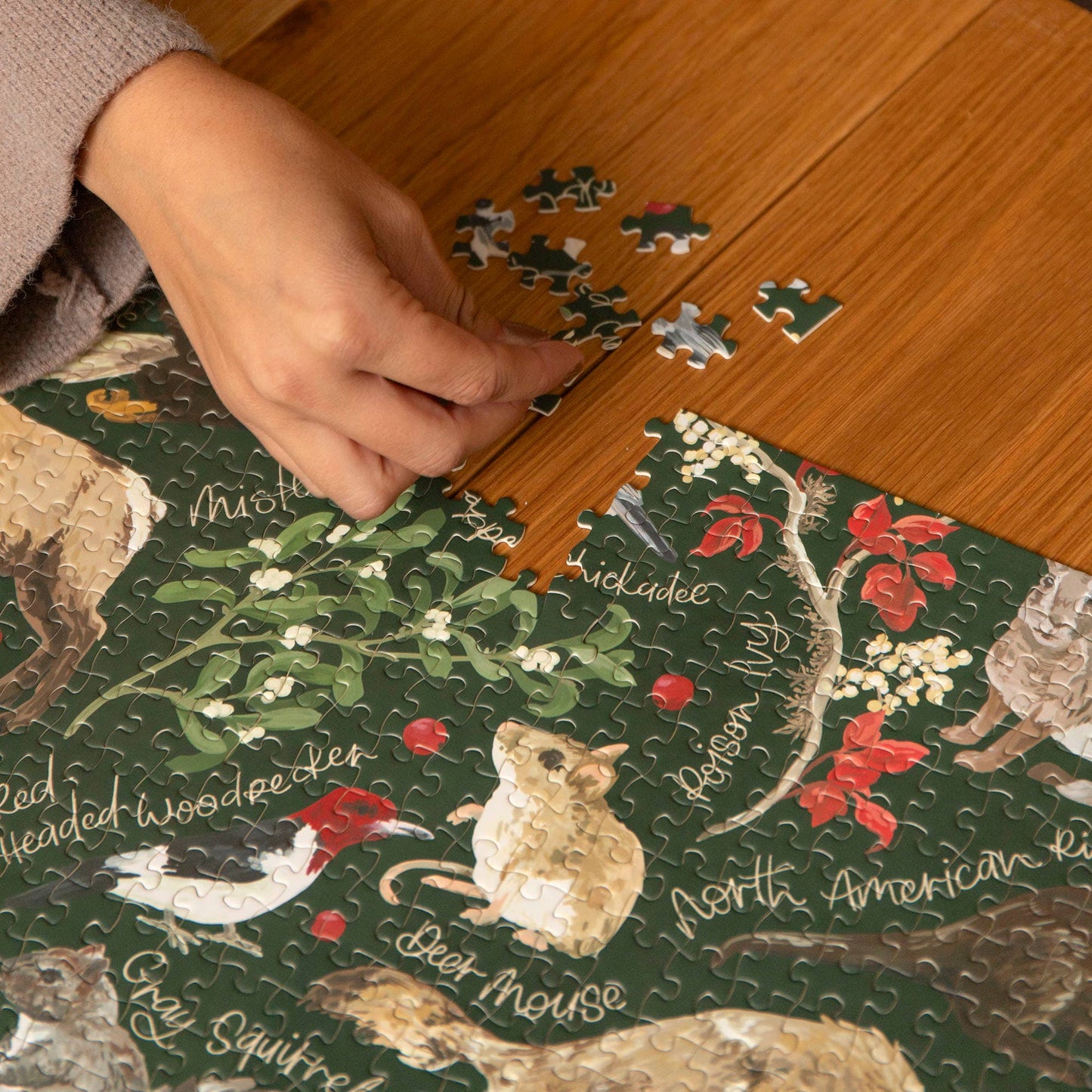 Winter Flora & Fauna - 1,000 Piece Jigsaw Puzzle