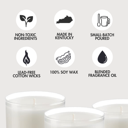 Wild berry Cheesecake Candle 9.2 Oz