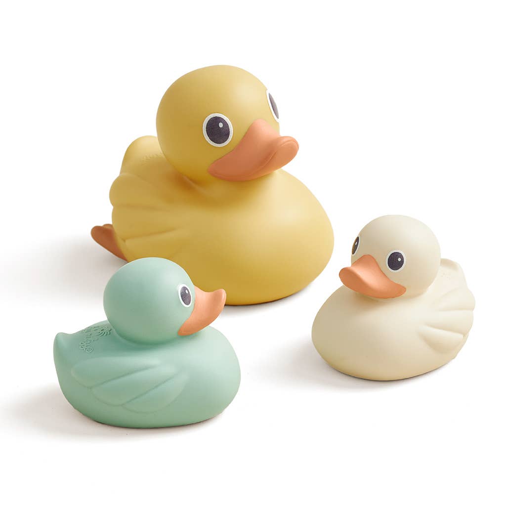 Mallard Itzy Ducky Family