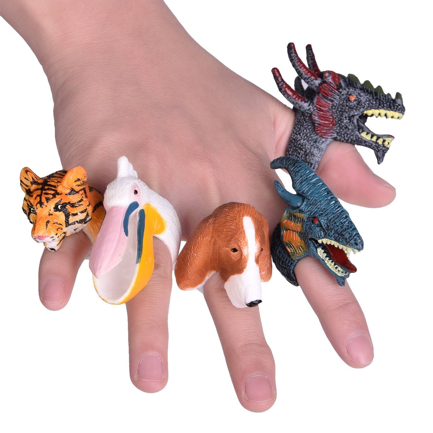 Animal Rings