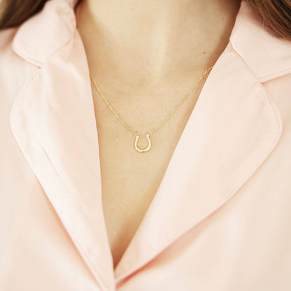 Horseshoe Lucky You Necklace