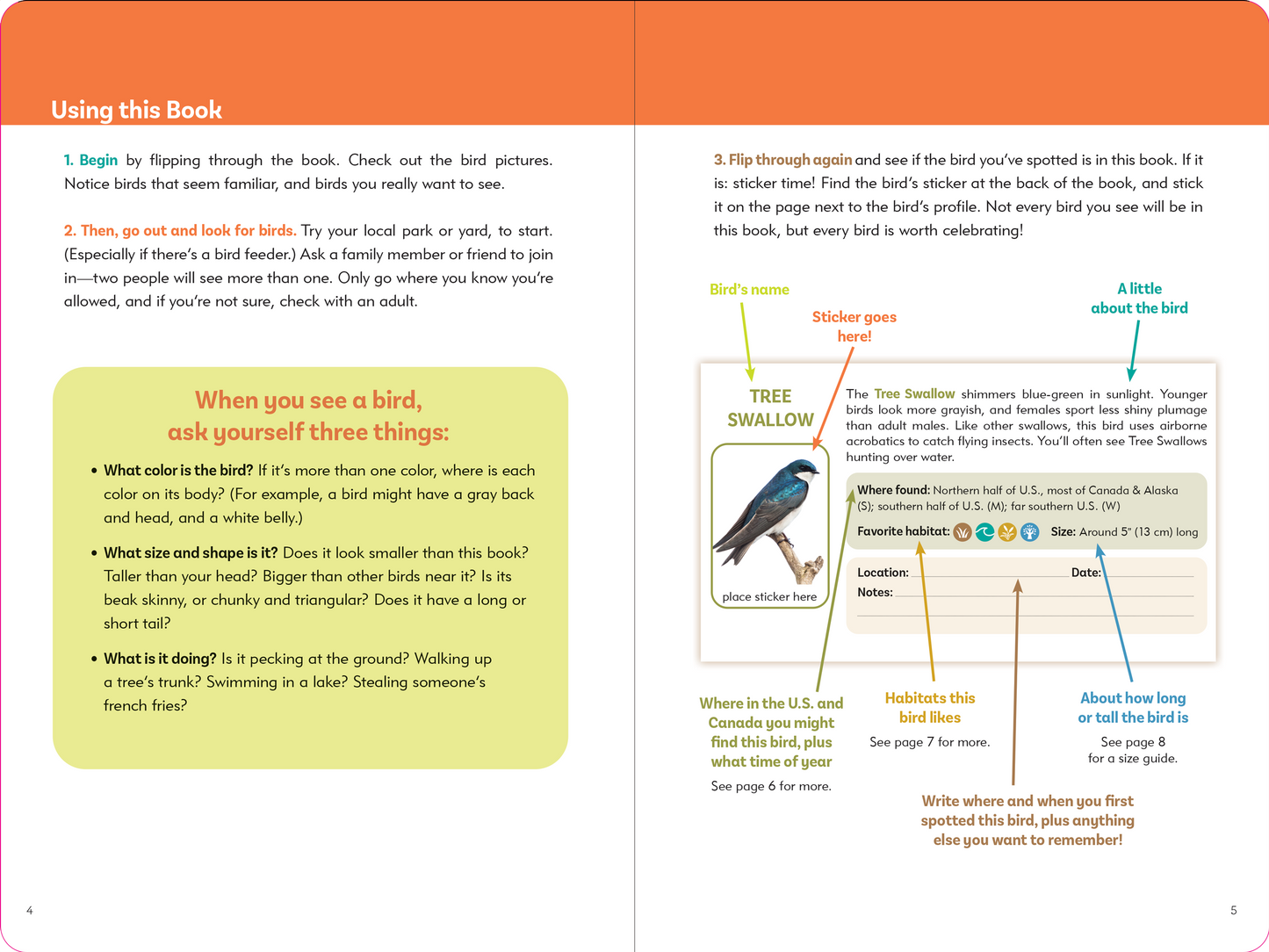 Birder's Logbook: A Sticker Book for Budding Ornithologists