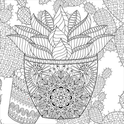 Succulents Adult Coloring Book