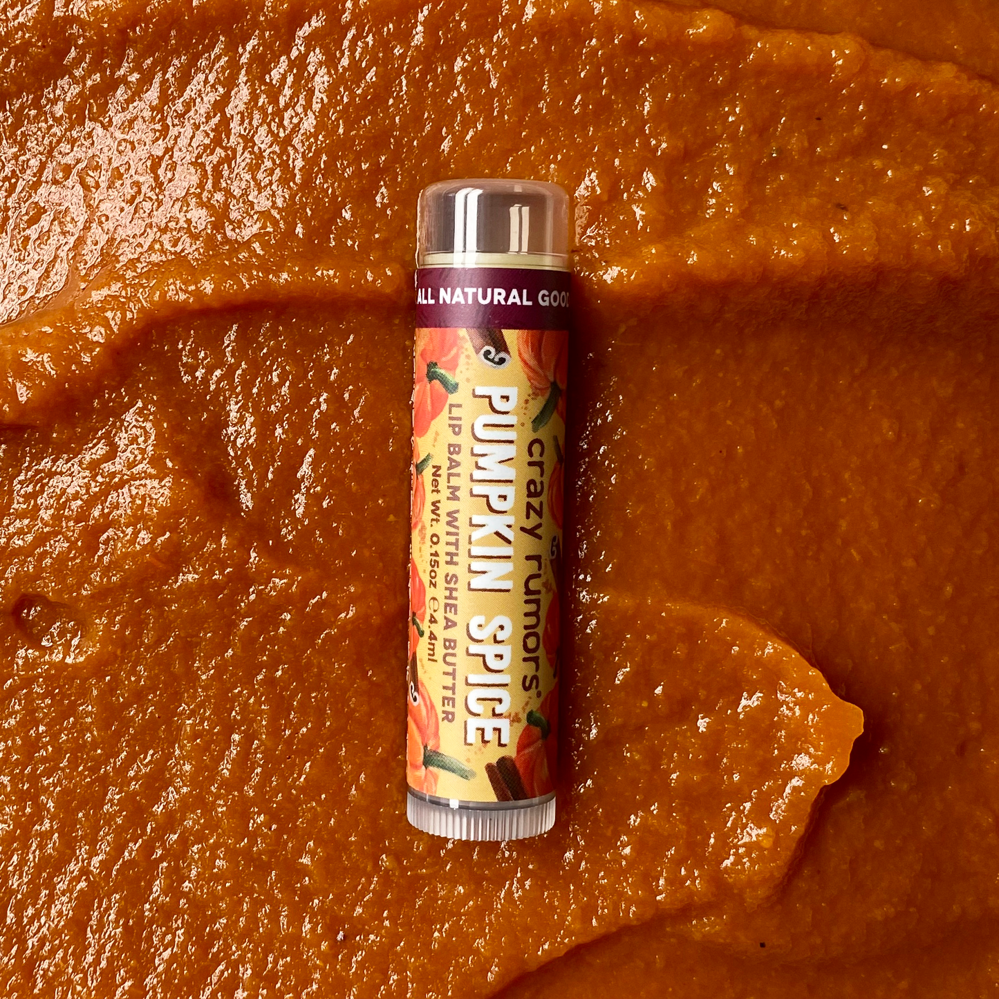 Pumpkin Spice Lip Balm - Seasonal