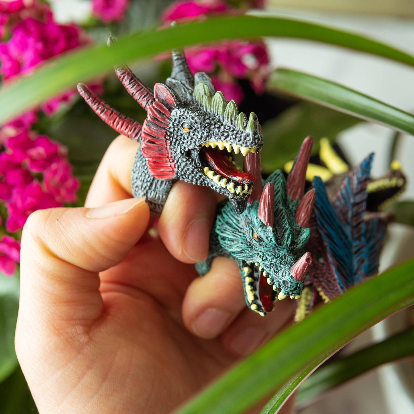 Animal Rings