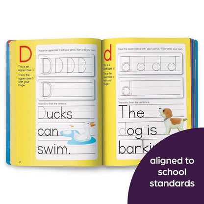 Preschool Big Fun Workbook