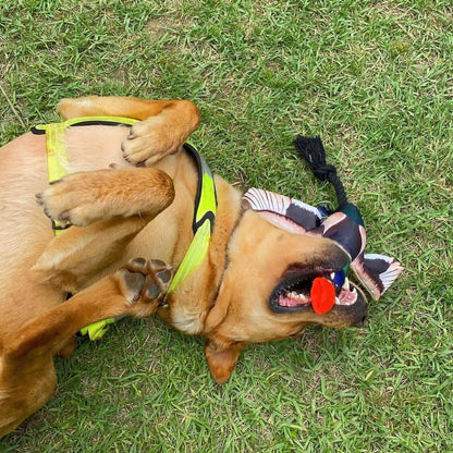 Fly & Fetch Launching Toys