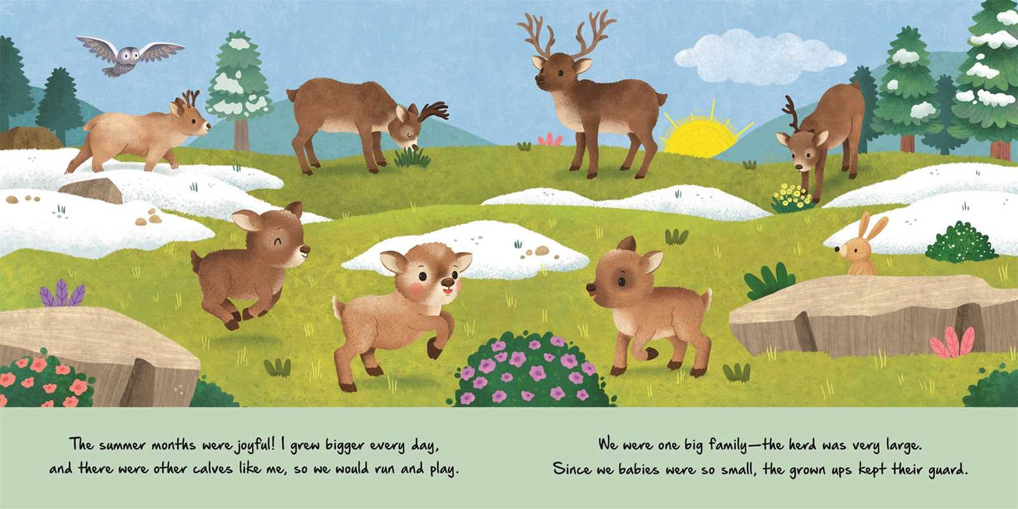 Little Reindeer Nature Stories