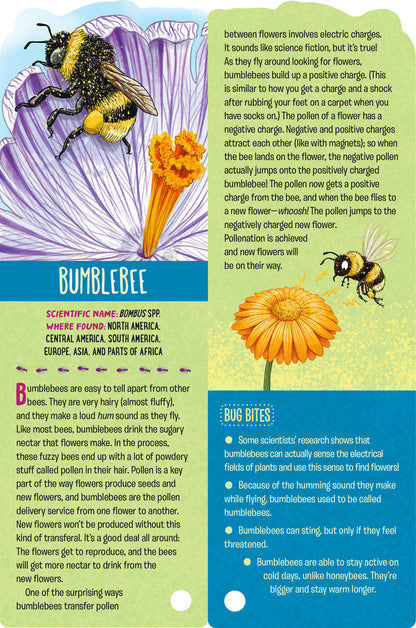 Fandex Kids: Bugs: Facts That Fit in Your Hand: 49 Incredible Insects, Spiders & More!