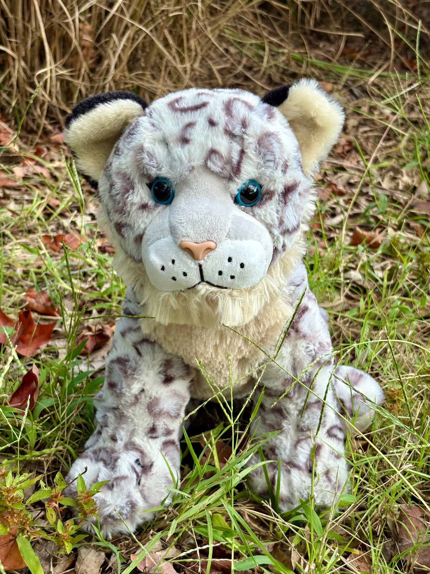 Snow Leopard 12" Wild Onez