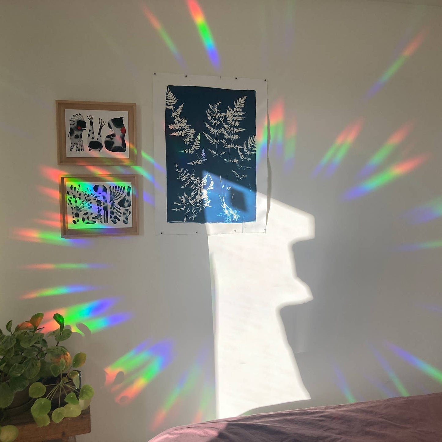 You shine so bright Suncatcher