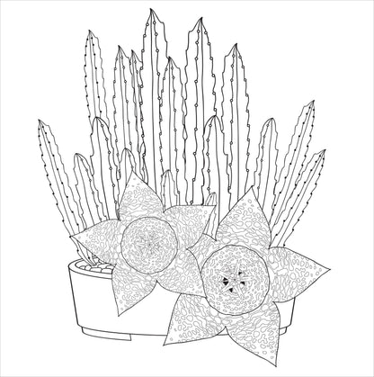 Succulents Adult Coloring Book