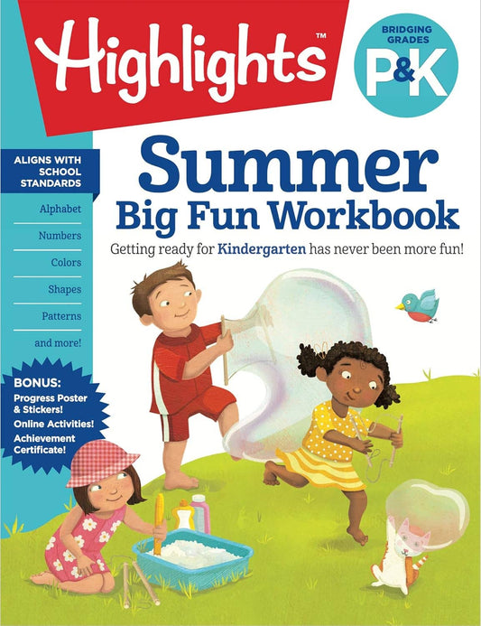 P & K Bridge Summer Big Fun Workbook